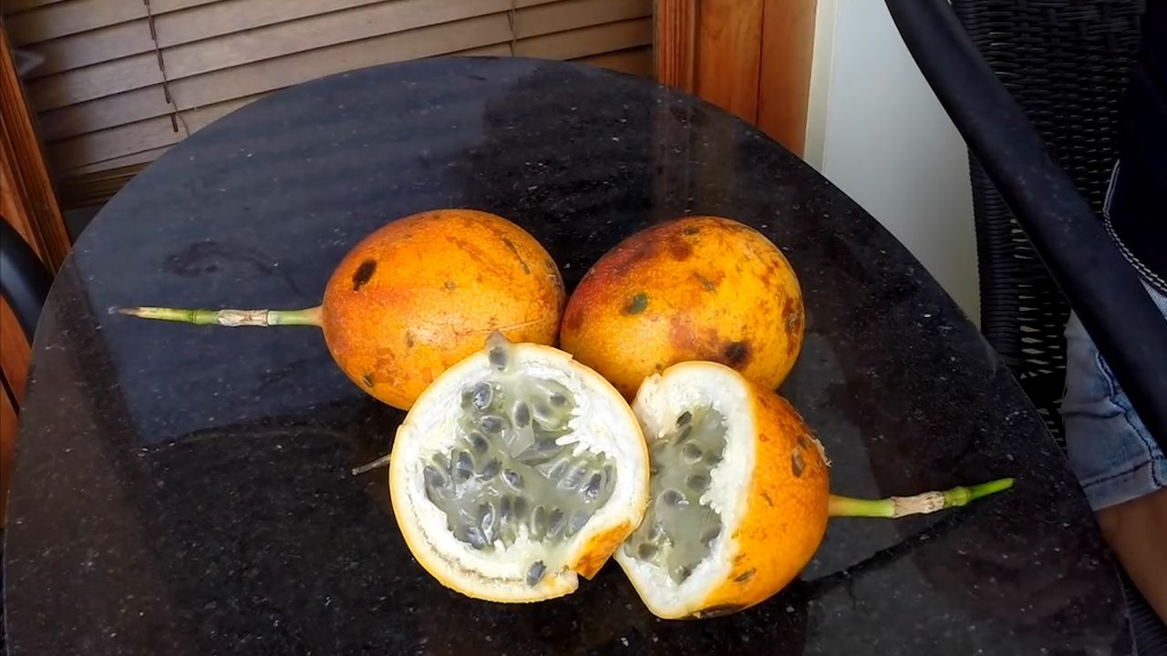 Granadilla. Właściwości zdrowotne (WIDEO)