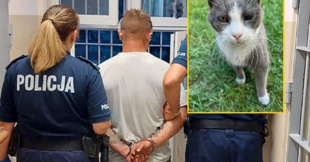 Wyszedł ze sklepu i z impetem kopnął kota. Zwierzę częściowo straciło wzrok