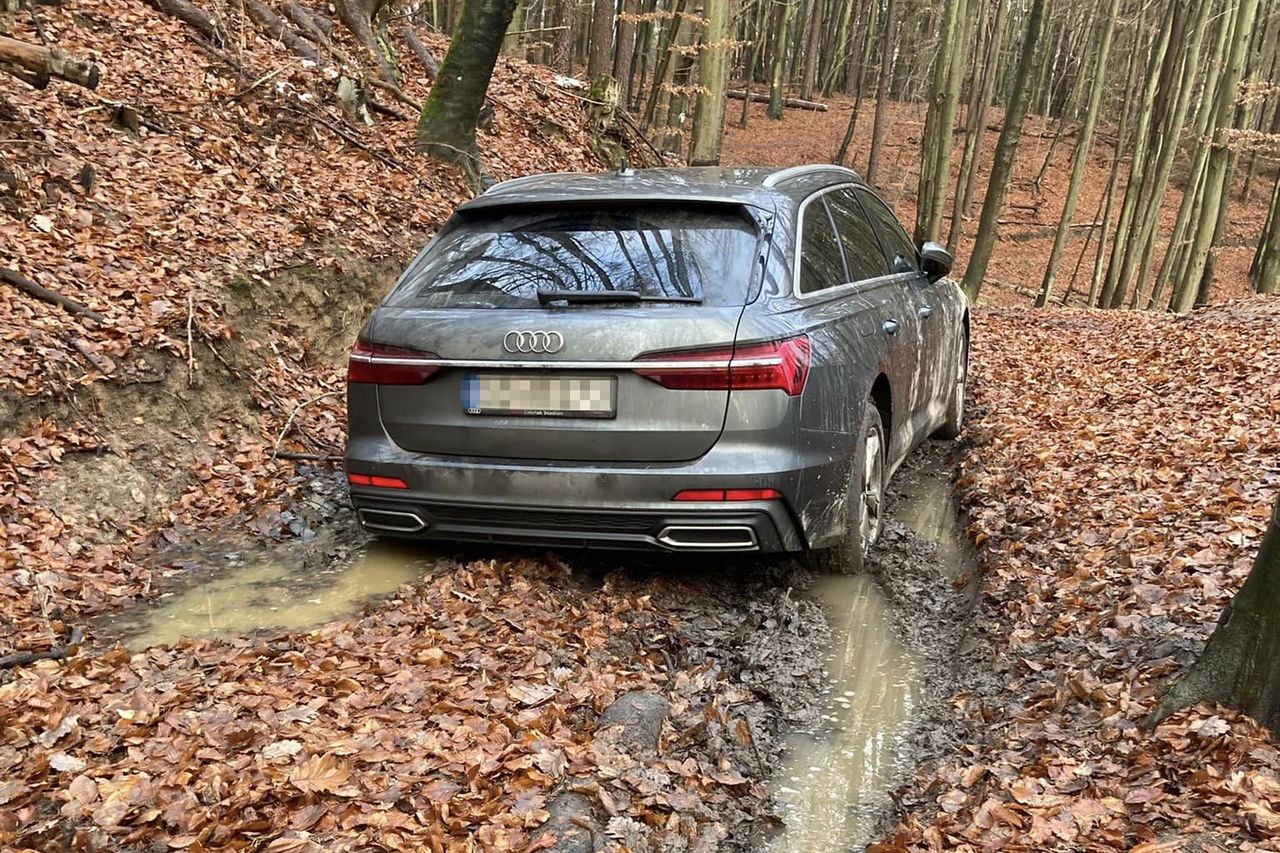 Chciał wjechać na punkt widokowy. Osobowe audi poległo z błotem