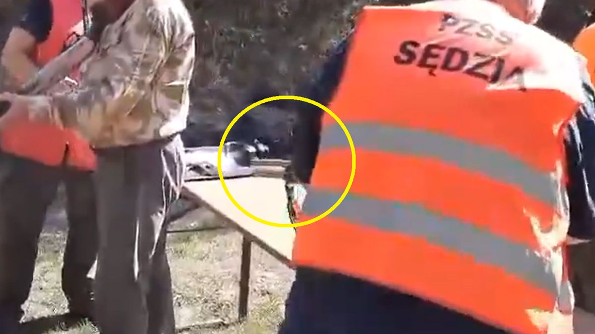 68-latek przez przypadek postrzelił mężczyznę. Sprawą zajmuje się prokuratura  