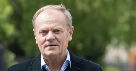 Tusk w kampanii wyborczej? Członek sztabu Nawrockiego: trzymam kciuki