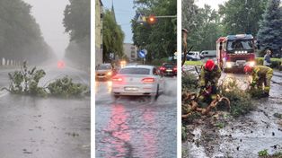 Burza, wichura i ulewa – nie ryzykuj. Tego nie wolno robić podczas burzy! Przypominamy ważne wskazówki bezpieczeństwa od KM PSP Toruń
