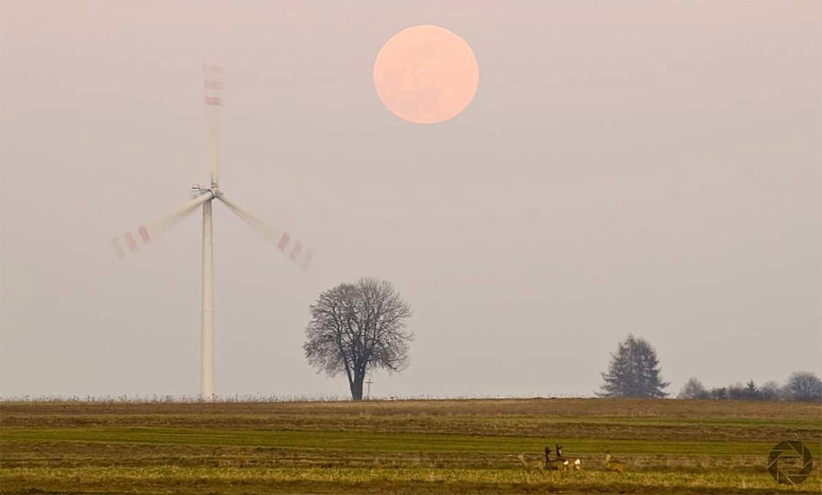 Superksiężyc 2019: Zdjęcia naszych czytelników 6