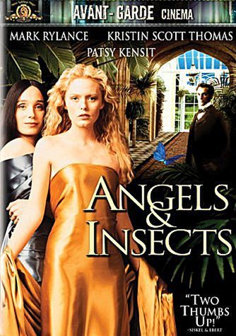 Angels & Insects