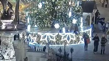 Sceny grozy w centrum Gdańska. "Nie wspinaj się na choinkę"