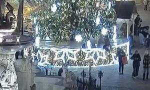 Sceny grozy w centrum Gdańska. "Nie wspinaj się na choinkę"