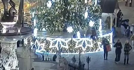 Sceny grozy w centrum Gdańska. "Nie wspinaj się na choinkę"