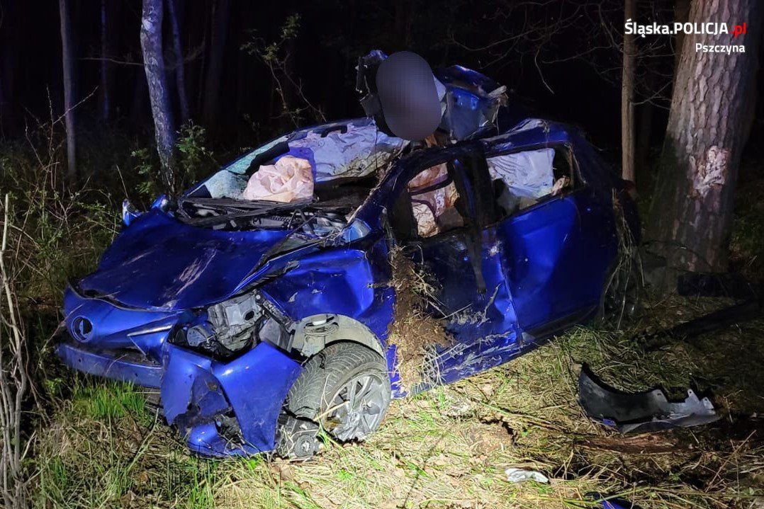 Auto wpadło na łosia. 32-latka z ciężkimi obrażeniami