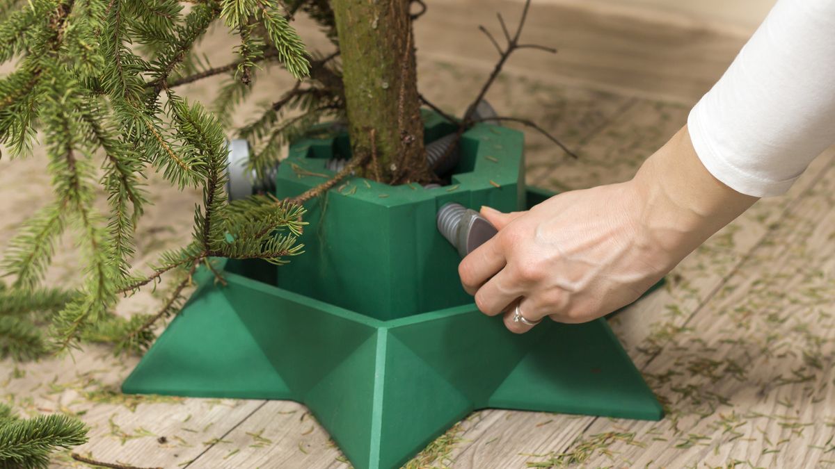 Ważne, aby w stojaku nie zabrakło choince wody