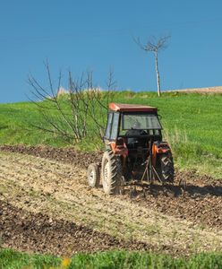 Nie na zbożu to może na gruntach? Tyle na ziemi mogą zarobić rolnicy