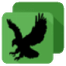 Black Bird Cleaner icon