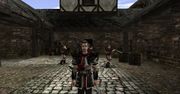 Co z Gothic II: Kroniki Myrtany? Dubbing prawie nagrany, ale do premiery daleko