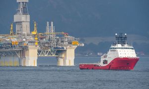 Przymus Polaków w Norwegii. Gazeta donosi o łamaniu praw pracowników