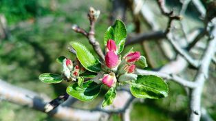 Dotkliwe ochłodzenie tuż przed majówką, ale potem zrobi się lato