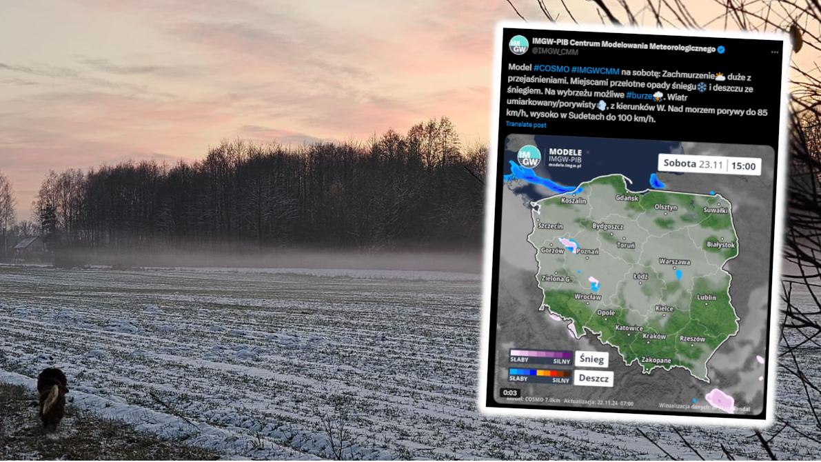 Pogoda na 23 listopada.
