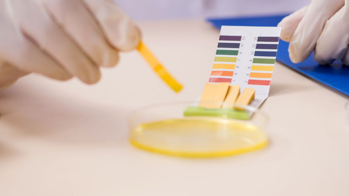 Kwas askorbinowy w moczu powyżej normy występuje bardzo rzadko