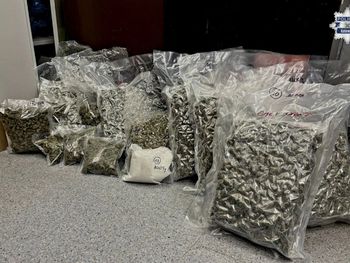 Katowice: Dwaj pseudokibice zatrzymani z blisko 15 kilogramami narkotyków. Policjanci "trafili" ich na mieście