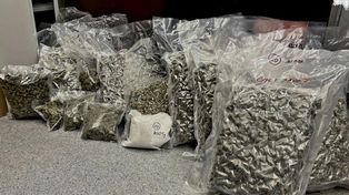 Katowice: Dwaj pseudokibice zatrzymani z blisko 15 kilogramami narkotyków. Policjanci "trafili" ich na mieście