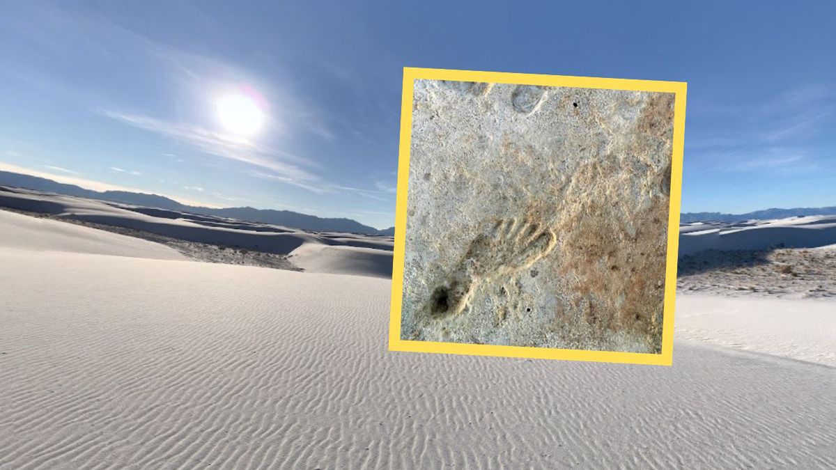 Ślady sprzed 23 tys. lat. Naukowcy ujawniają rewolucyjne dowody