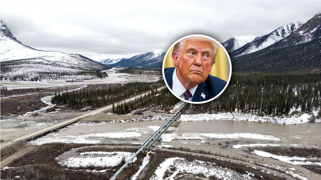 Donald Trump chce zwiększyć wydobycie surowców na Alasce