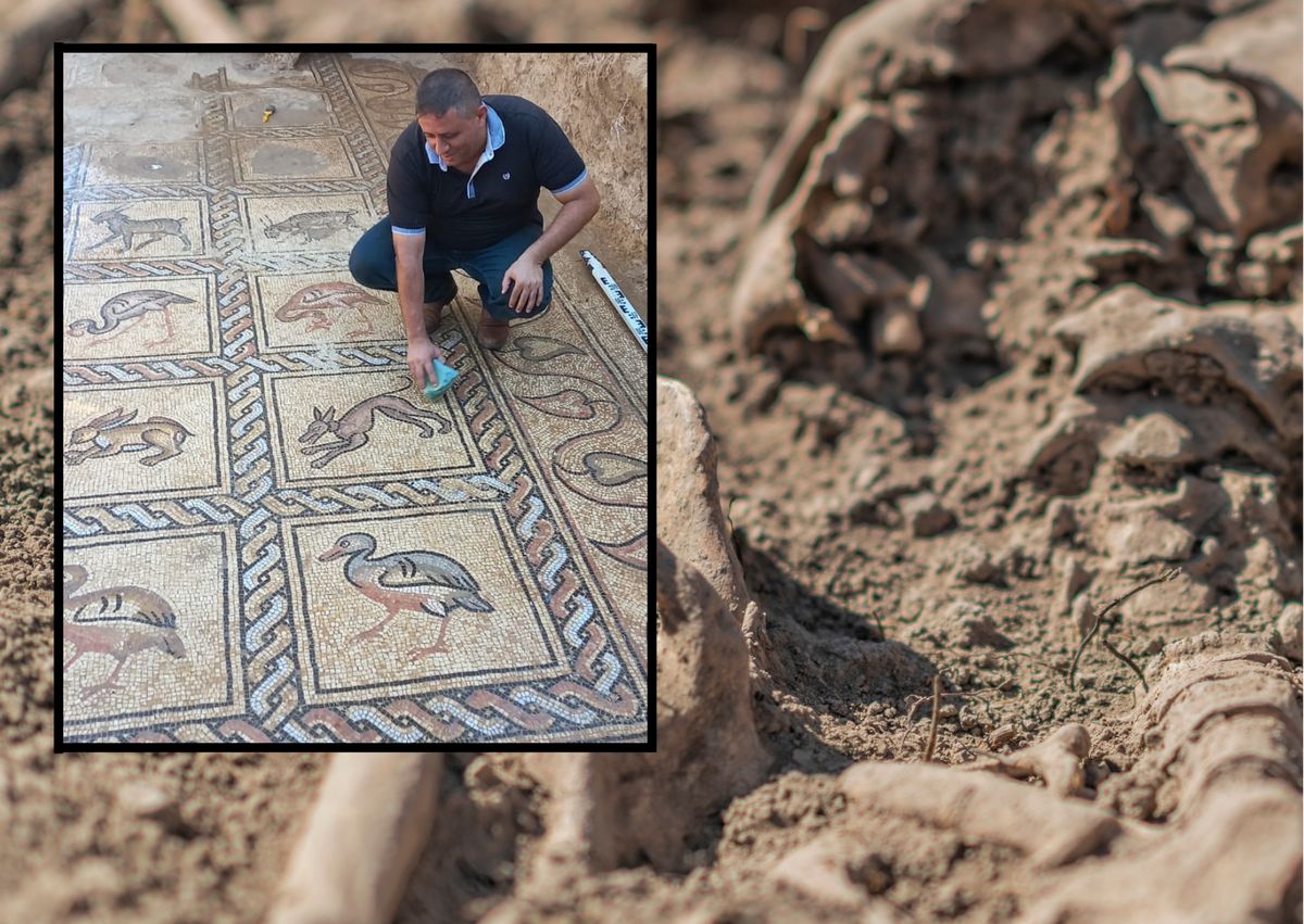 Palestyński rolnik odnalazł mozaikę z czasów Bizancjum