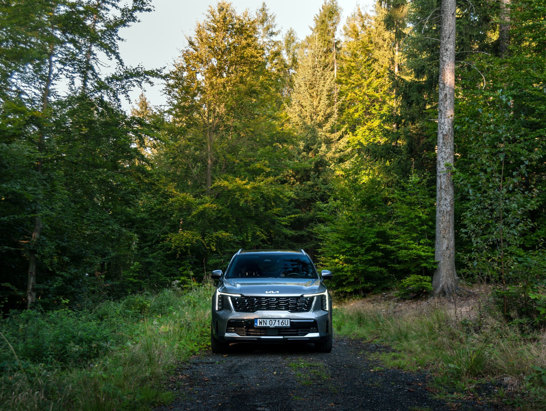 Kia Sorento 2.2 CRDi (2024)