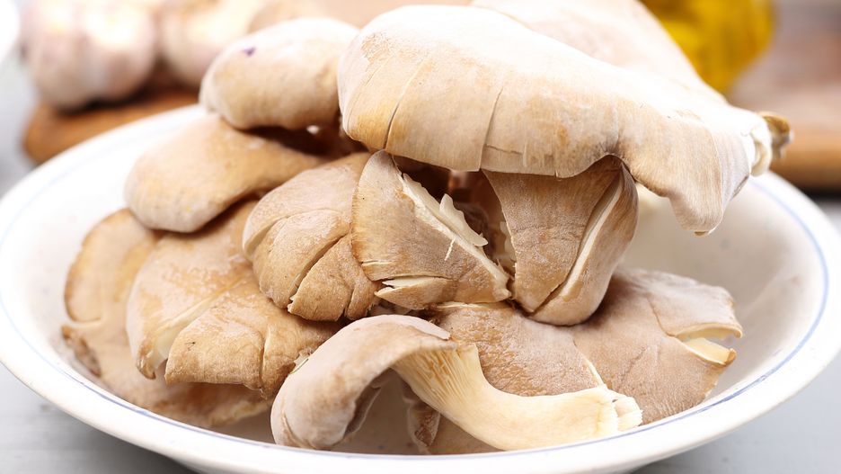 Boczniaki można wykorzystać w kuchni na wiele sposobów