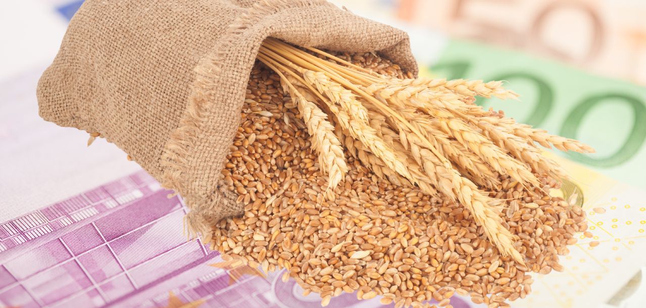 Ceny zbóż w górę po zapowiedzi umowy handlowej USA–Chiny