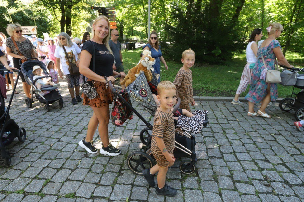 1. urodziny tygrysków we wrocławskim ZOO.