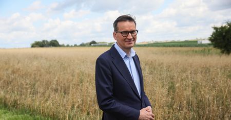 Morawiecki krytykuje PiS. "Tusk sam nam wystawia piłkę"