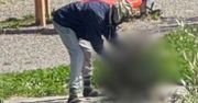 "Barbarzyństwo". Migrant przy grillu. Skandal na całe Włochy