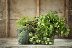 7 pomysłów na lekki obiad z zielonych warzyw
