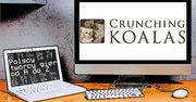 Polscy twórcy gier od A do Z: Crunching Koalas
