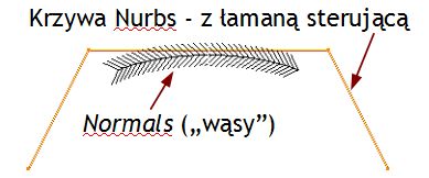 Krzywa Nurbs