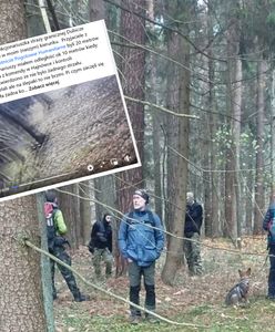 "Funkcjonariusze oddali strzały". Zarzuty pod adresem SG, jest reakcja