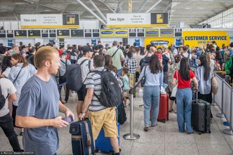 Brytyjczycy apelują do Polaków wyjeżdżających na święta. Tych produktów wwozić nie wolno