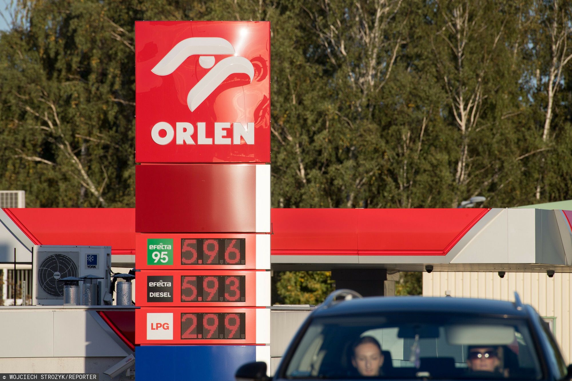 Ceny paliw
14.10.2023 Gdansk Stacja paliw Orlen benzyna bezolowiowa Pb 95 5.96 zl olej napedowy ON diesel 5.93 gaz LPG 2.99
Fot. Wojciech Strozyk/REPORTER
Wojciech Strozyk/REPORTER