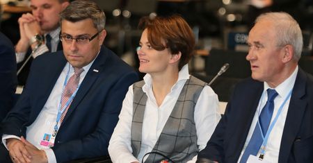 Emilewicz ma odpowiedź na podwyżki cen prądu. Energię mają wytwarzać właściciele domów
