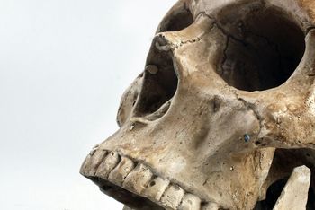 Przełom w nauce. DNA "człowieka smoka" odsłania tajemnice