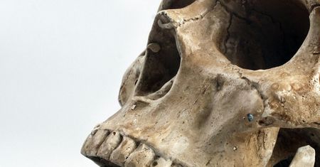 Przełom w nauce. DNA "człowieka smoka" odsłania tajemnice