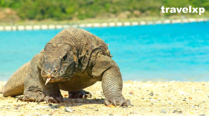 Indonesia's Romantic Getaway