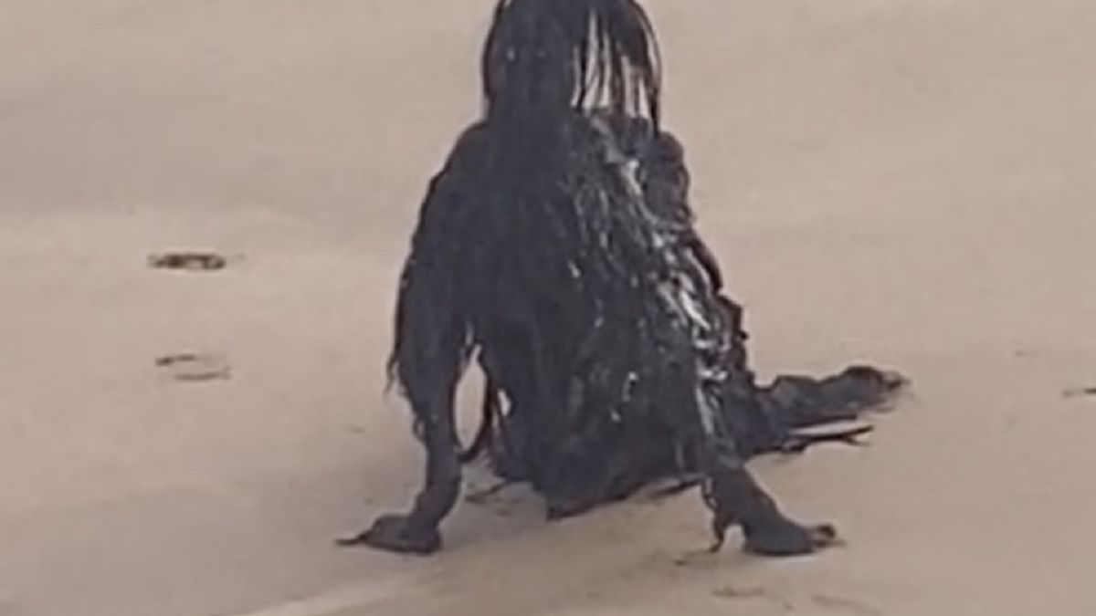 Nagranie z "demonem"