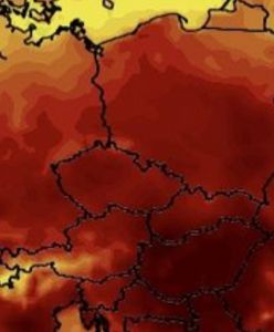 Fala upałów nad Polską. Wiadomo, od kiedy uderzy gorąc