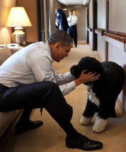 Barack Obama żegna wiernego przyjaciela