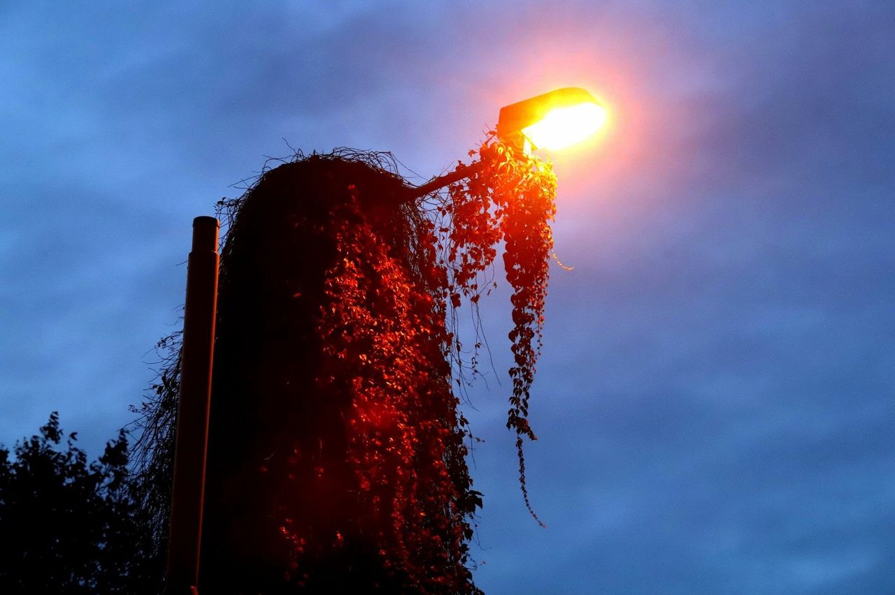 Wrocław: Nowe latarnie na osiedlach. Mamy listę miejsc