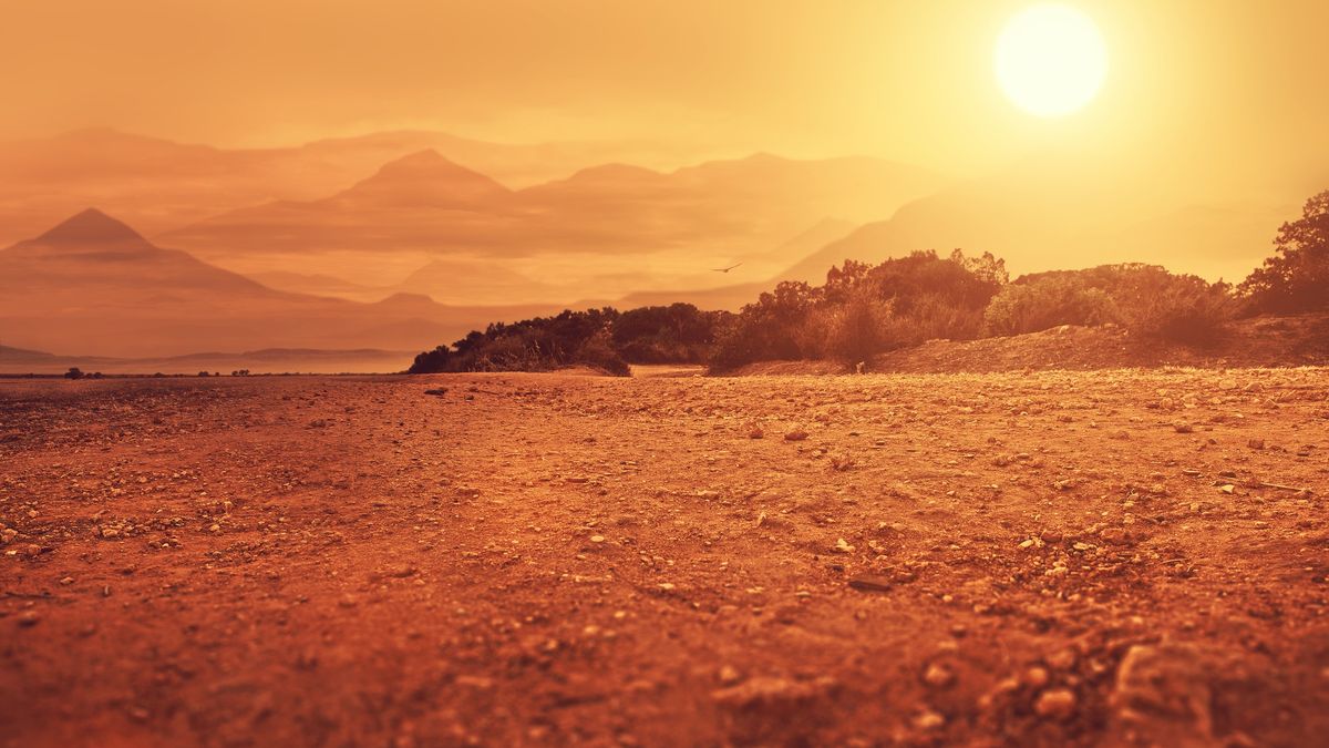 Grozi nam katastrofa? ONZ ostrzega przed suszami 