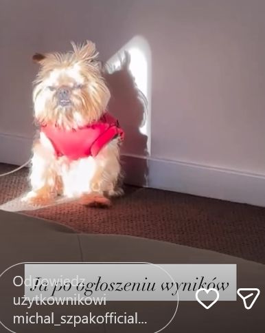 Michał Szpak skomentował wynik Alicji Szemplińskiej 