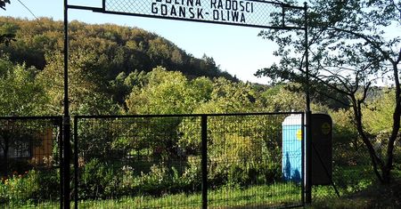 Działka znów w modzie. Epidemia podbiła ceny ogródków