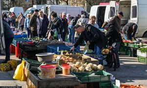 "Zwykła złośliwość". Wysokie opłaty zabijają biznes w tym mieście