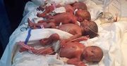 Kobieta z Iraku urodziła siedmioraczki naturalnie